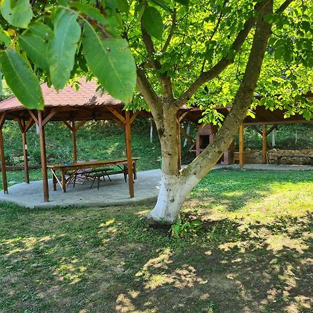 Salas U Bregu In Cheile Carasului Crasova Buitenkant foto