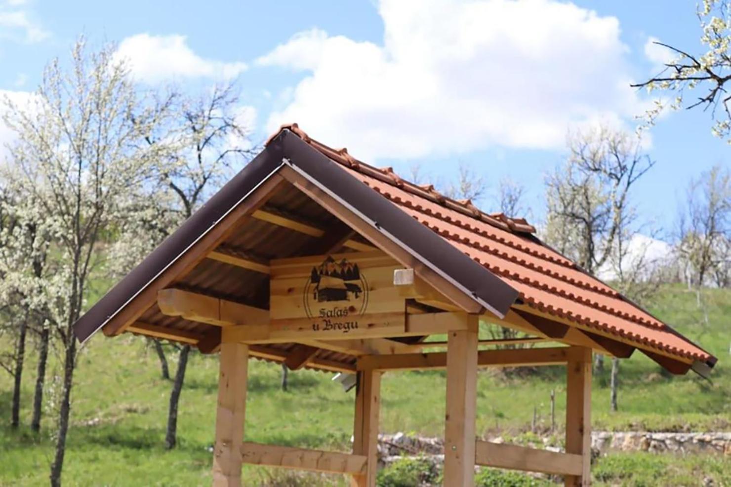 Salas U Bregu In Cheile Carasului Crasova Buitenkant foto