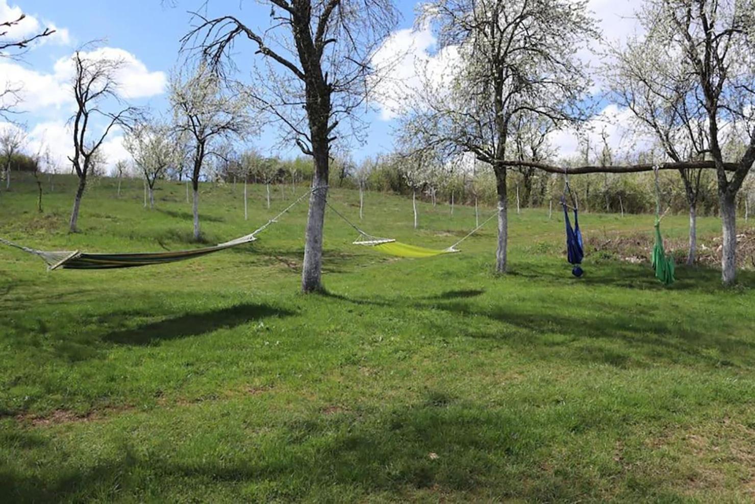 Salas U Bregu In Cheile Carasului Crasova Buitenkant foto