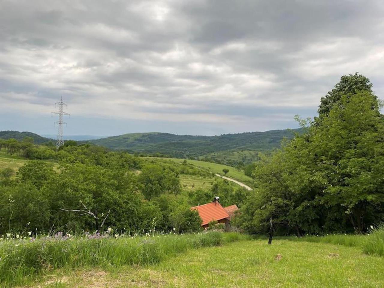 Salas U Bregu In Cheile Carasului Crasova Buitenkant foto