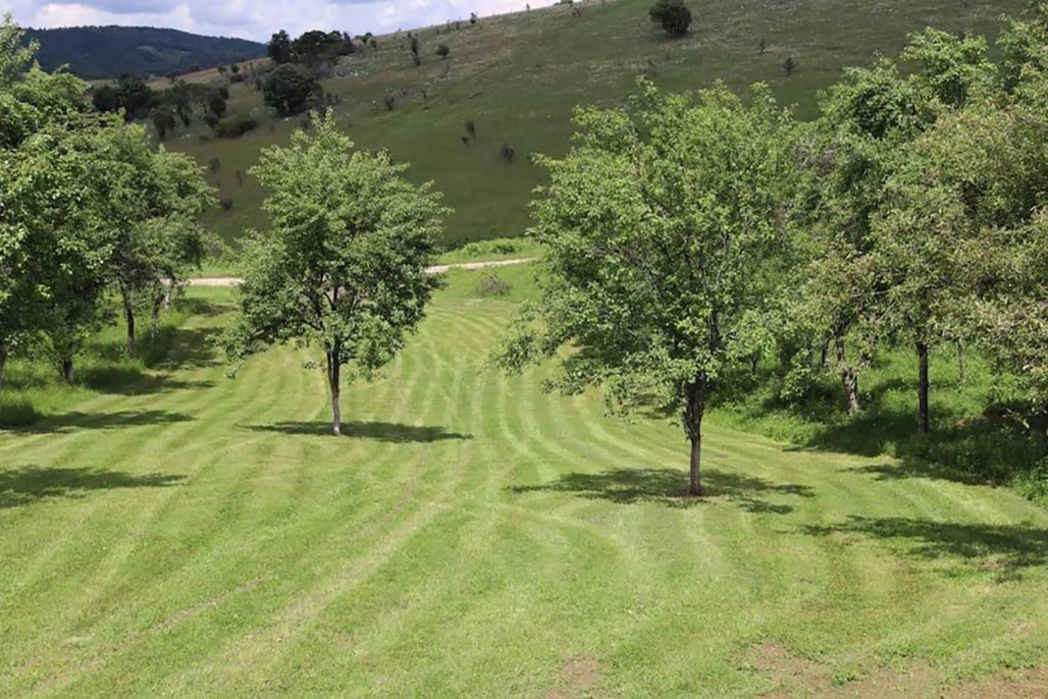 Salas U Bregu In Cheile Carasului Crasova Buitenkant foto