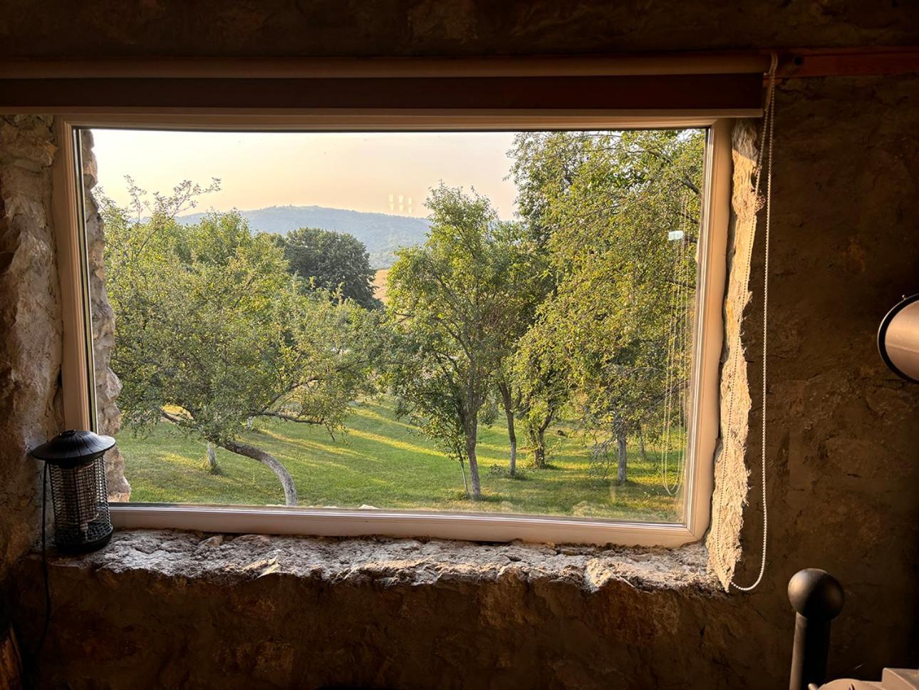 Salas U Bregu In Cheile Carasului Crasova Buitenkant foto