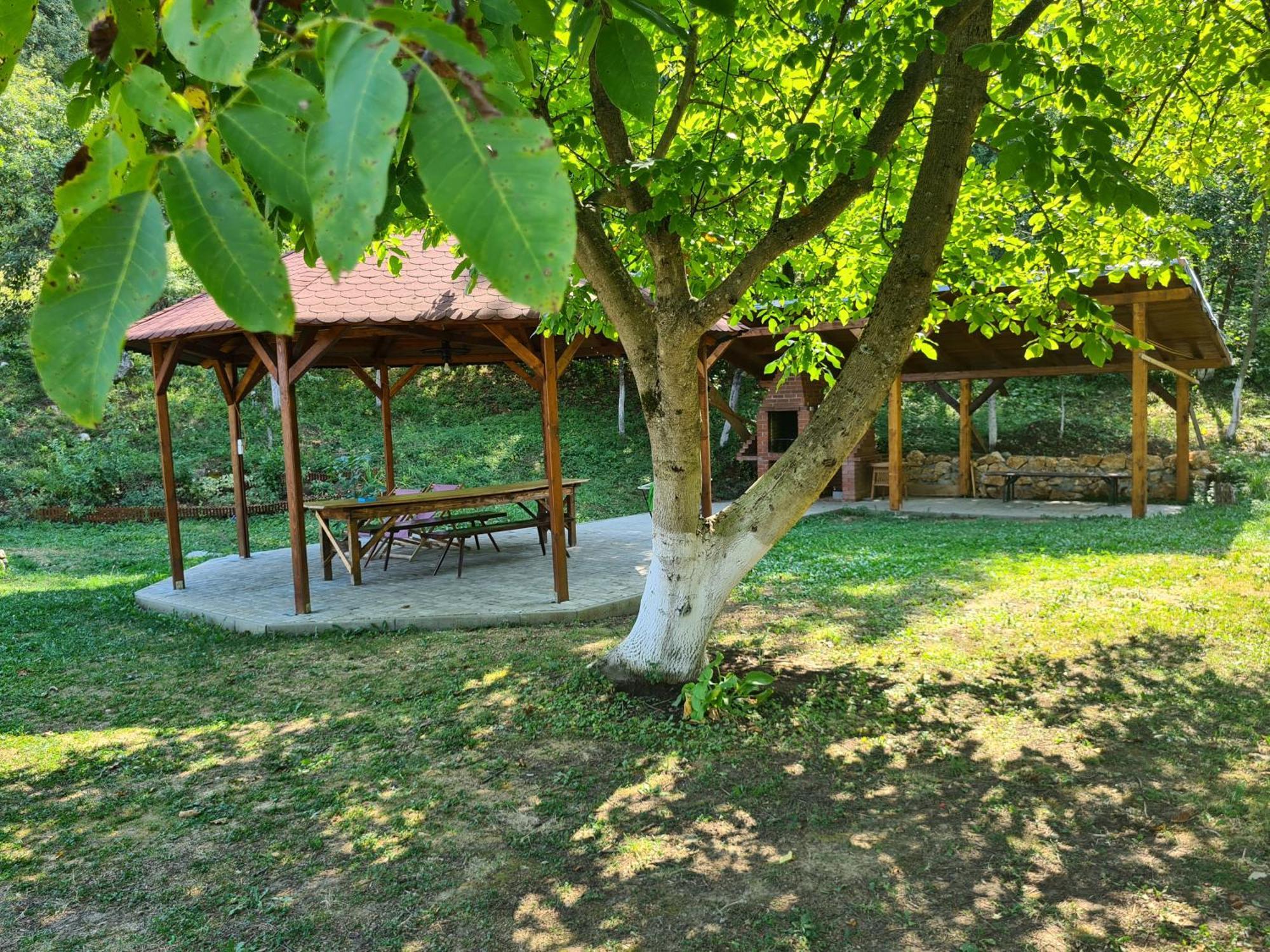 Salas U Bregu In Cheile Carasului Crasova Buitenkant foto
